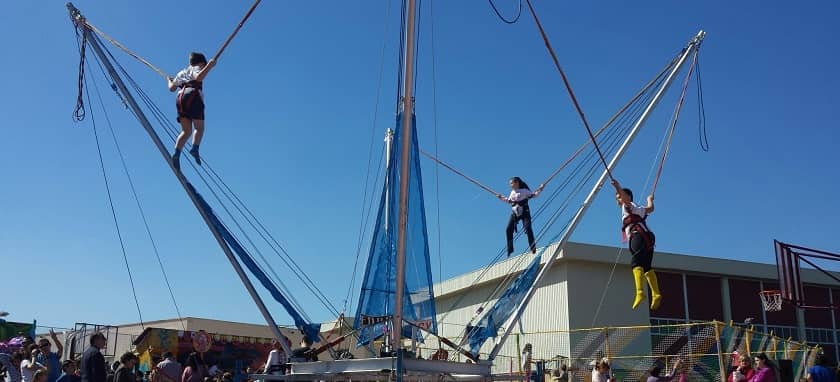 Saltador sky jumper